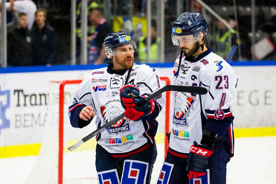 Linköpings Derek Roy och Niklas Persson deppar