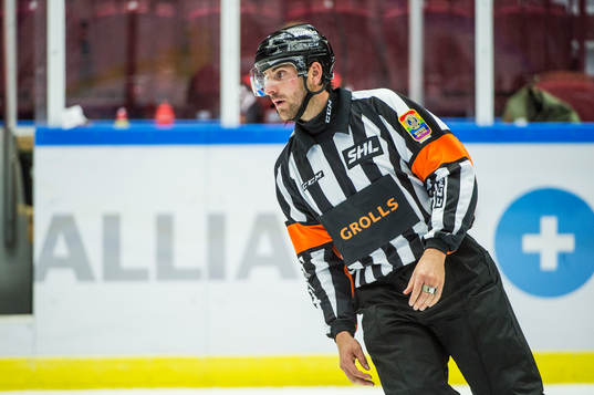 Domare Mikael Sjöqvist
