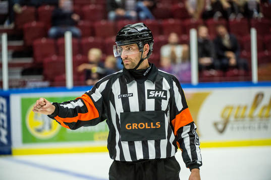 Domare Mikael Sjöqvist