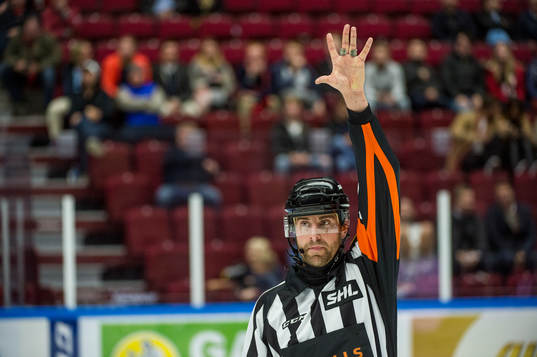 Domare Mikael Sjöqvist