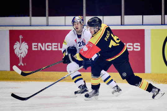Frank Mauer of RB Munich and Daniel Paille of Brynäs