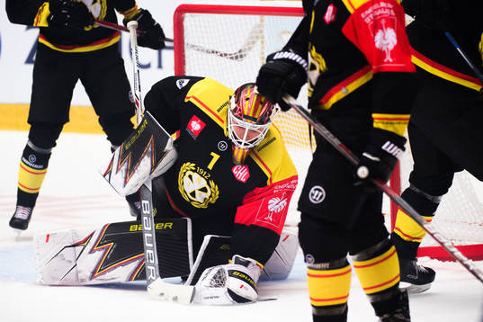 goalkeeper Felix Sandström of Brynäs