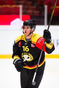 Daniel Paille of Brynäs