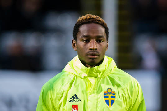 Sveriges York Rafael