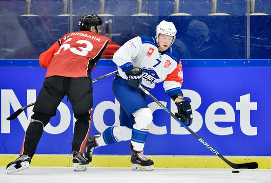 Fredrik Händemark of Malmö Redhawks and Tomas Bartejs of
