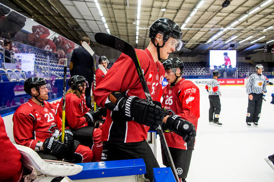 Fredrik Händemark of Malmö Redhawks