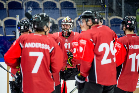 Th players i Malmö Redhawks celebrates Goalkeeper