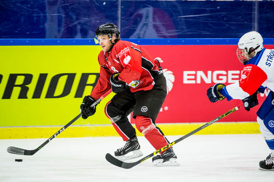 Johan Olofsson of Malmö Redhawks and Vojtech Strondala of