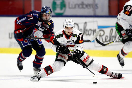 Malmö Redhawks Lukas Haudum