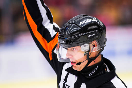Domare Mikael Andersson