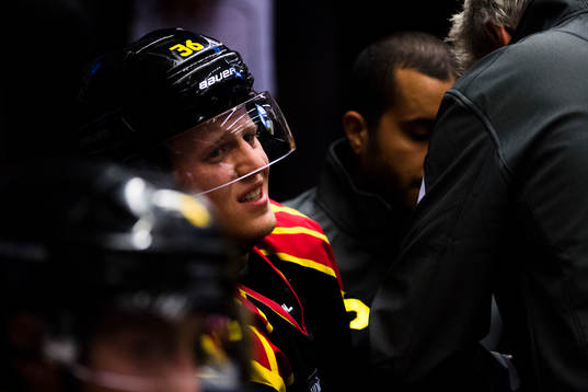Brynäs Linus Ölund