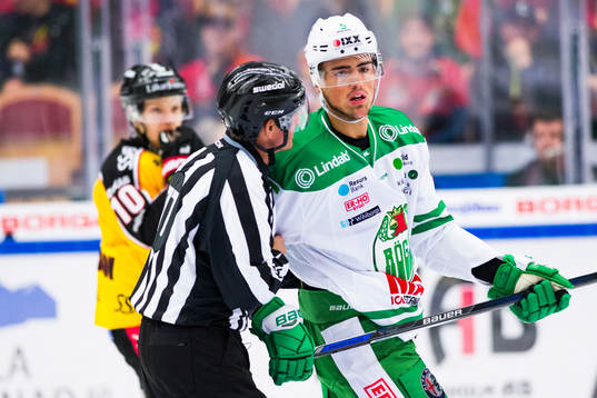 Rögles Alen Bibic
