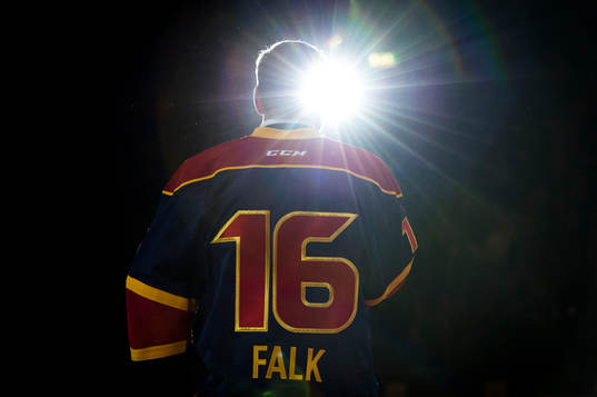 Djurgårdens Nichlas Falk talar
