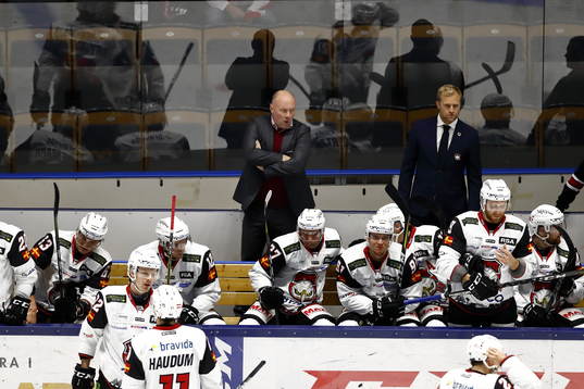 Malmös tränare Peter Andersson i spelarbåset