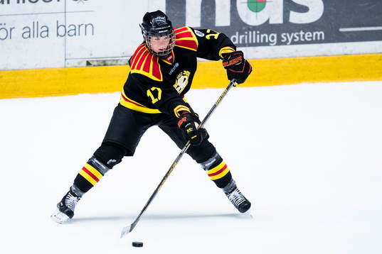 Brynäs Franziska Stocker