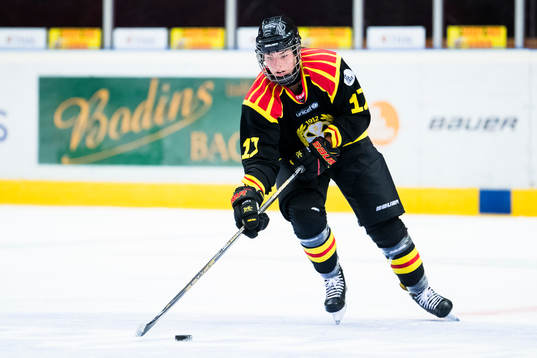 Brynäs Franziska Stocker