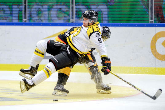 Brynäs Aaron Palushaj