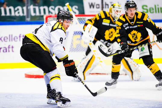 Brynäs Aaron Palushaj