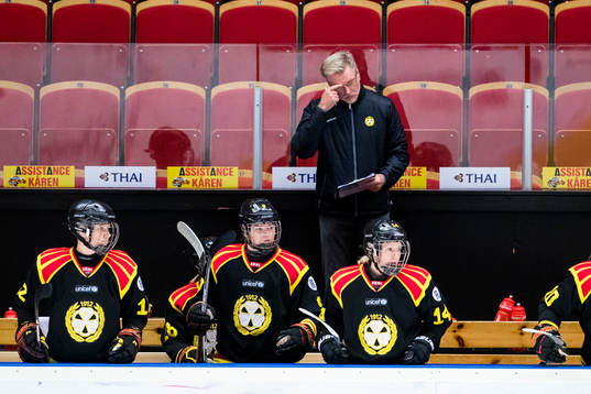 Brynäs tränare Åke Lilljebjörn