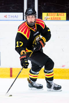 Brynäs Franziska Stocker
