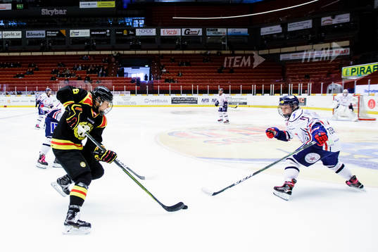 Brynäs Erica Udén Johansson