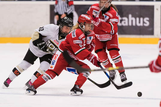 Bläddra bland fler bilder av Ishockey, SDHL, Modo - SDE Hockey