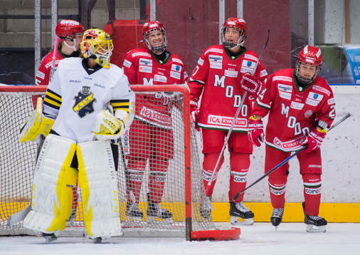 Modos Jenelle Kohanchuk, Erika Grahm och Michela Cava