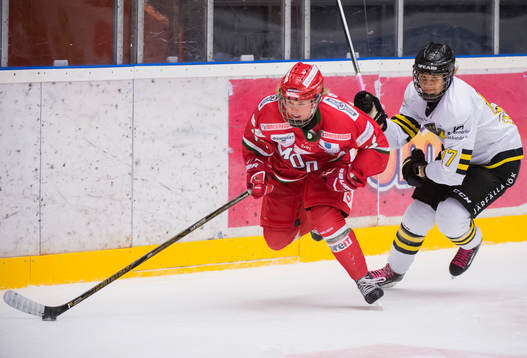 Bläddra bland fler bilder av Ishockey, SDHL, Modo - AIK