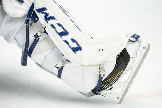 Leksands målvakt Tex Williamsson skydd innan