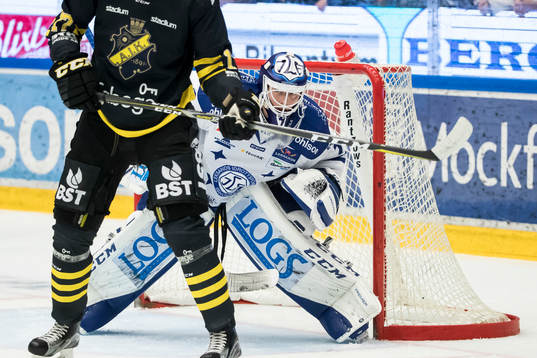 Leksands målvakt Tex Williamsson  i ishockeymatchen i