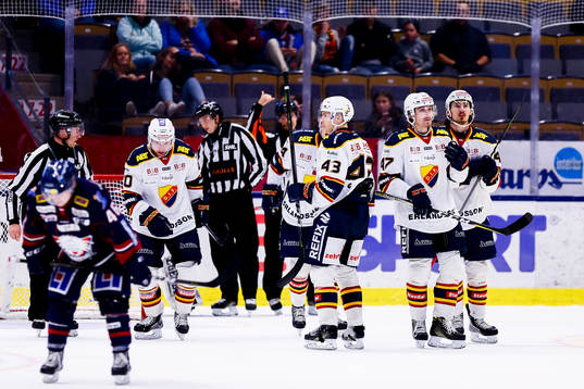 Djurgårdens deppar