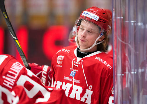 Timrås Jonathan Dahlen värmer upp innan  ishockeymatchen