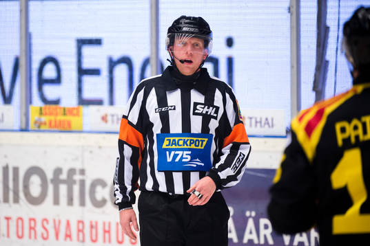 Domare Mikael Holm