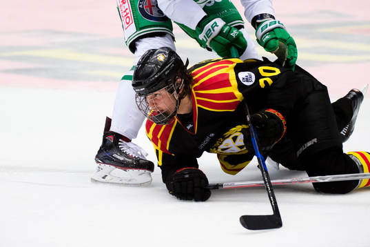 Brynäs Marcus Westfält
