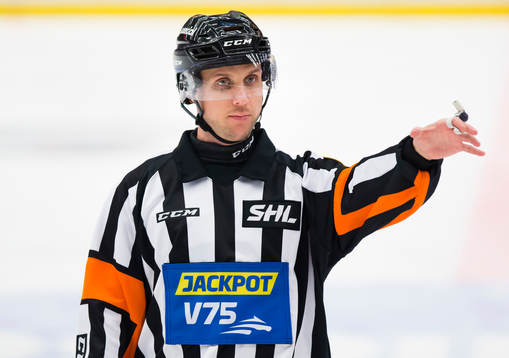 Domaren Patric Bjälkander
