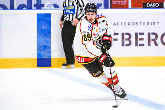 Luleås Ryan Johnston