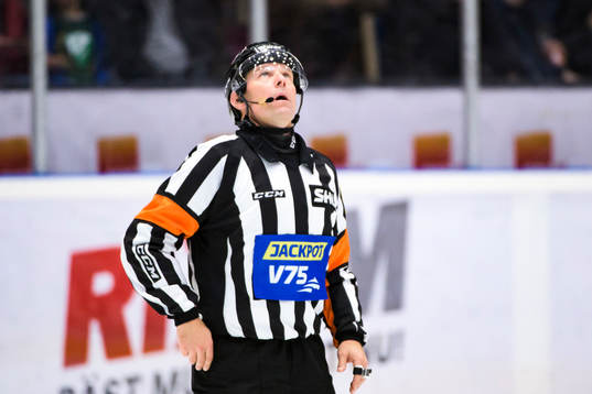 Domare Wolmer Edqvist