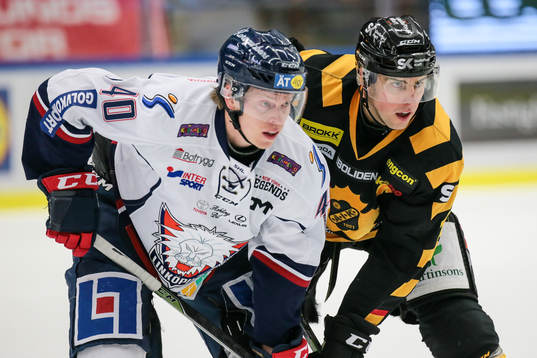 Bläddra bland fler bilder av Ishockey, SHL, Skellefteå - Linköping
