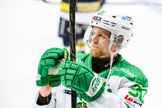 Rögles Ted Brithén
