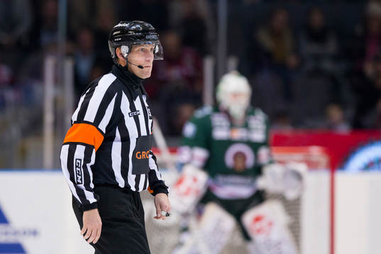 Domare Morgan Johansson