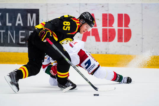 Brynäs Mikael Johansson