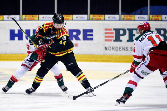Brynäs Johan Alcén