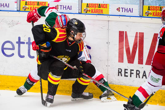 Brynäs Marcus Westfält