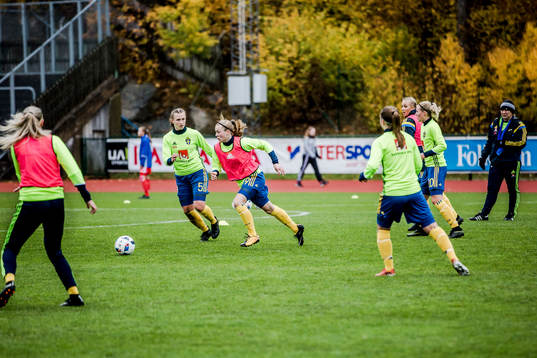 Sveriges spelare värmer upp