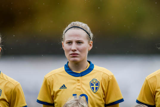 Sveriges Saga Jontoft