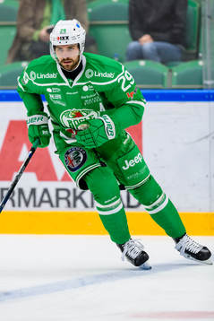 Rögles Ludvig Rensfeldt