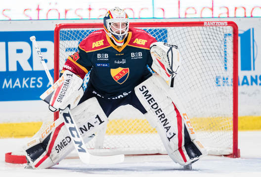 Djurgårdens målvakt Adam Reideborn