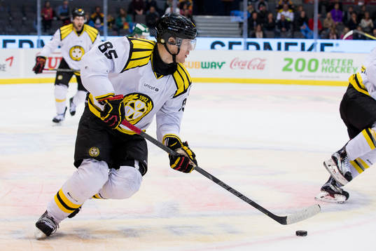 Brynäs Mikael Johansson
