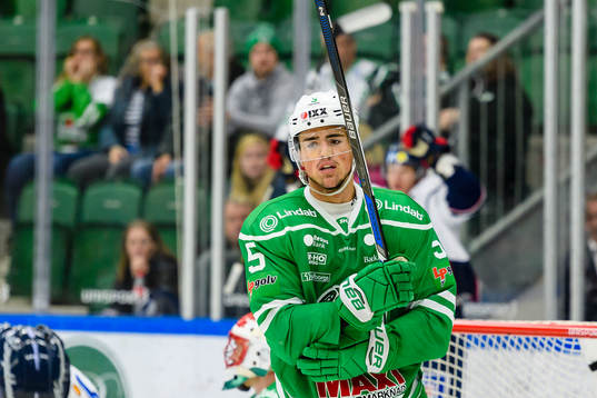 Rögles Alen Bibic deppar
