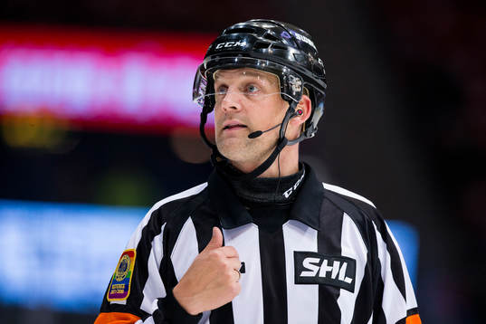 Domare Mikael Nord